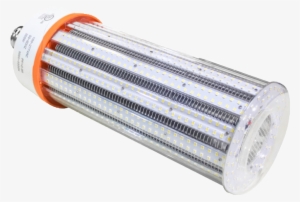 3-5 Years Warranty - Incandescent Light Bulb