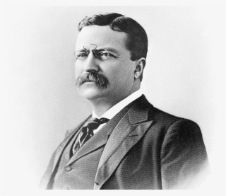 Submission - 201f Arrows A/アロウズ 【2個以上 送料無料】ハードケース ハード 201f A04 785