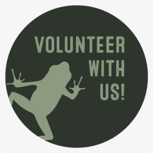 Our Rainforest Campus Is Located Directly Within The - World Where Chickens Can Cross