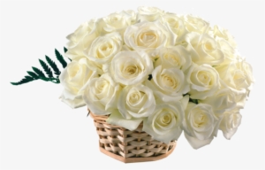 Best Free Hd Wallpapers For Desktop, Latest Wallpapers - Basket Of White Roses