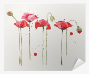 Watercolor Poppies Set - Akwarela Maki