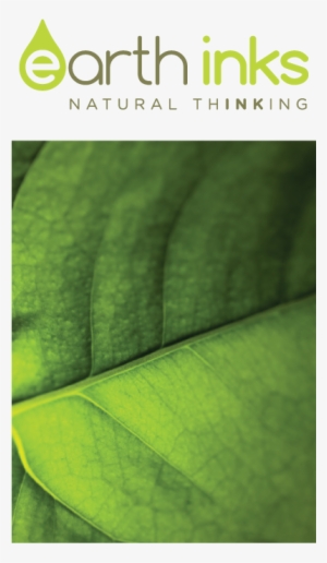 Earthink Quote - Book Cover