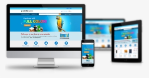 Insightful Solutions Focused Results - Visualscope Llc