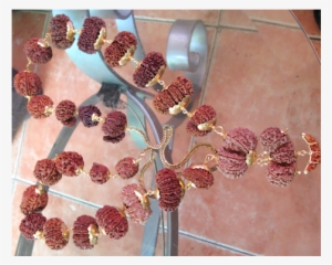 Indra Mala Rudraksha Collection - Indra Mala