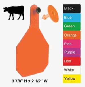 Ytex Blank 2 Piece Tag - Destron Fearing Duflex Large Cattle Tag - Blue Ear