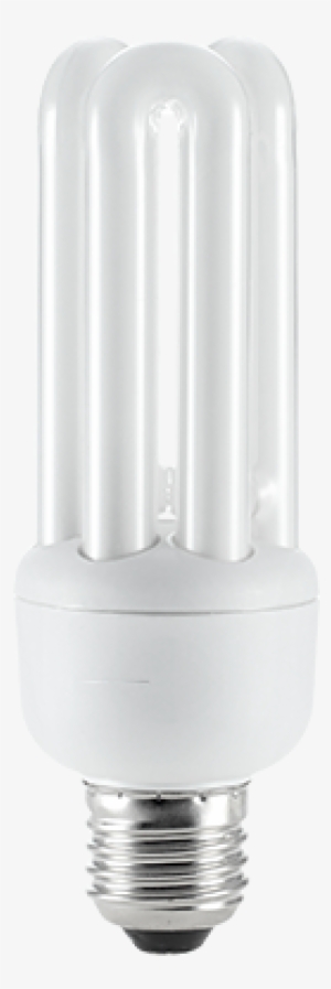 Compact Fluorescent Lamp