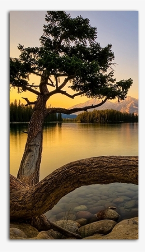 Natural Beauty Mobile Wallpaper - Jasper