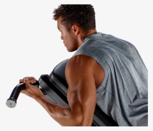 Physical Therapy, Home Fitness - Biceps Curl