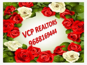 6 Gallery - Garden Roses