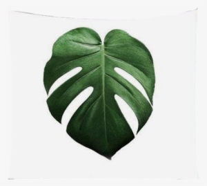 Nature Decor, Wall Decor, Deliciosa Tapestry, Beautiful - Monstera Deliciosa Poster
