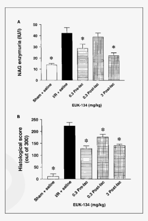 Effect Of Euk-134 On Glomerular Dysfunction Caused - Diagram