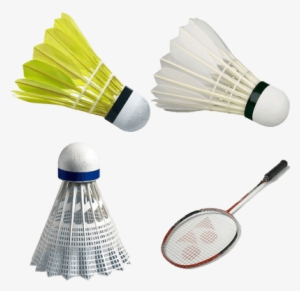 Badminton - Badminton Feather