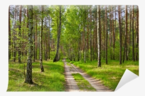 Wall Mural • Pixers® • We Live To Change - Wallpaper