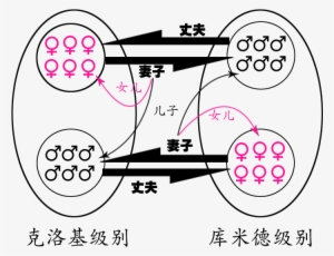 Group Marriage In Mount Gambier - Marriage