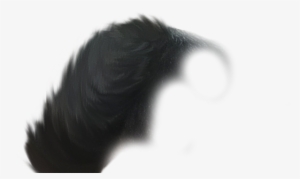 Hair Png - Hair