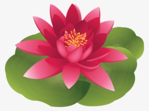 Lotus Water Lily Flower Clipart - Clip Art Water Lily