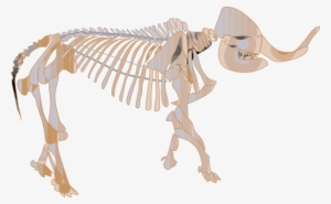 Clip Arts Related To - Fossil Clip Art