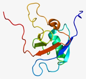 Protein Plxnb1 Pdb 2jph - Illustration
