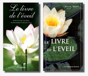 Case Study - Book Of Awakening: Having The Life You Want By Being
