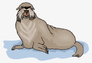 Free Png Walrus Background Png Png Images Transparent - Illustration