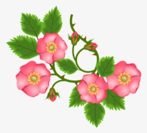 Rose Tendril, Bush Rose, Entwine, Branch - Clipart Flower Jewelry Png