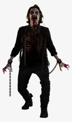 Portfolio Of Website Design, Logo Design, Graphic Design, - Krrish Dress For Kids