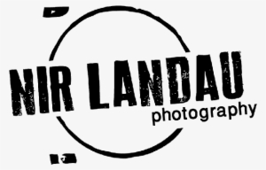 Endicott Estate, Needham -indian Wedding Natasha & - Nir Landau Photography