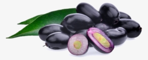 Download Png Image Report - Jamun Fruit
