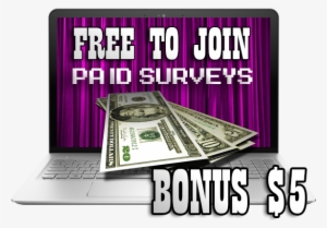 Laptop Survey 2 - Dollar Bills Ls Ultra Cotton