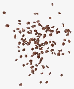 Coffee Beans Png Image Purepng Free Cc - Coffee Bean