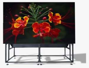 Overview Mvl Control Rooms Video Wall Rear-projection - Video Wall