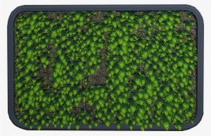 Abandoned Living Wall - Green Algae