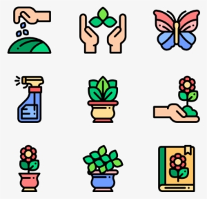 House Plants - Houseplant