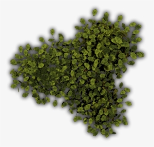 Dundjinni Mapping Software Forums Flora Updated Aug - Dundjinni Mapping Software Plants