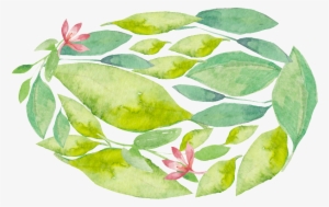 Fresh Green Plant Transparent Decorative - Portable Network Graphics