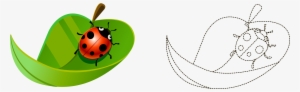 Coccinella Septempunctata Cartoon Painted Leaves Ladybird - Ladybird Beetle