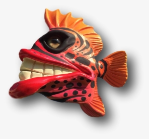 Mike's On A Roll This Week With Bright Colors And Crazy - Goldfish