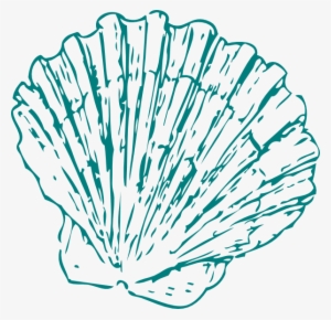 Wedding Clipart Seashell 2 - Sea Shell Vector Free