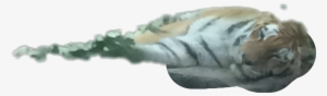 Hand