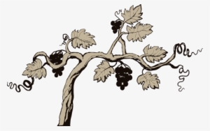 Vines - Portable Network Graphics