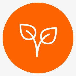 Web Design Online Store Business Website Entrepreneur - New York Times App Icon