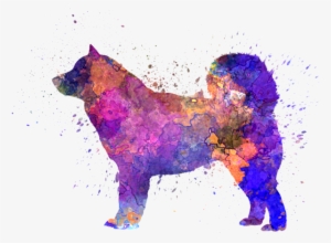Bleed Area May Not Be Visible - Alaskan Malamute Painting