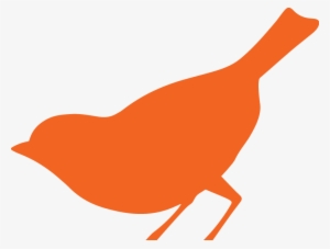 Chicken Png