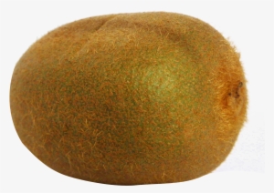 Kiwi Fruit Png File - Portable Network Graphics