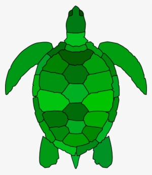 Turtle Clip Art At Clker - Green Sea Turtle Clipart