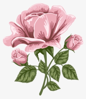 Pink Rose Art Png Picture - Pink Rose Art Png