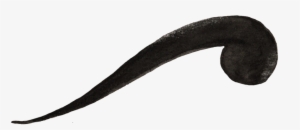 Black Blue Smoke Transparent Decorative - Black