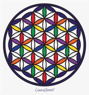 Flower Of Life - Flor De La Vida
