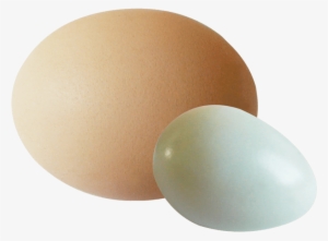 Eggs Png Transparent Image - Egg White