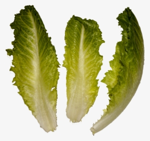 Cosmopolitan Salad